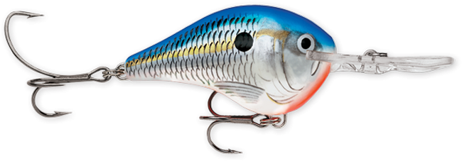 Rapala DT Series 10' 3/5oz 2.25in Blue Shad
