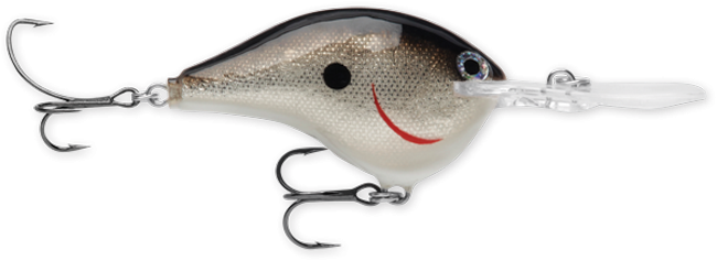 Rapala DT Series 10' 3/5oz 2.25in Silver