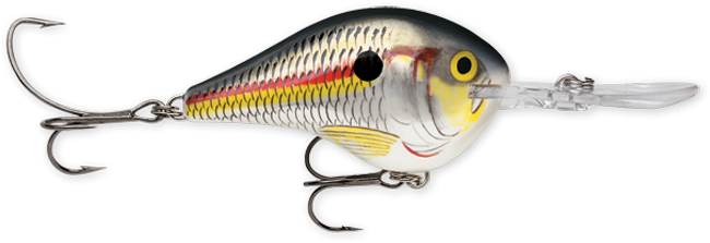 Rapala DT Series 10' 3/5oz 2.25in Shad