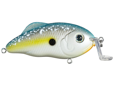 Strike King Hybrid Hunter Shallow 1/2oz    
1-3ft Sexy Shad 2.0